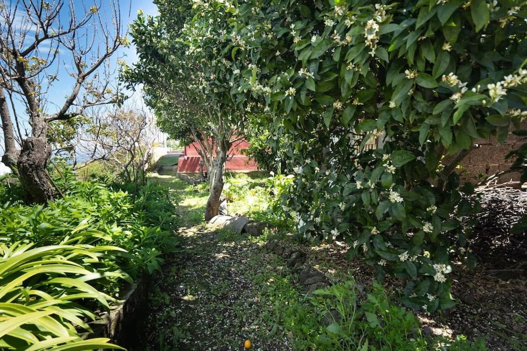 فيلا Casa El Monte San Juan del Reparo المظهر الخارجي الصورة